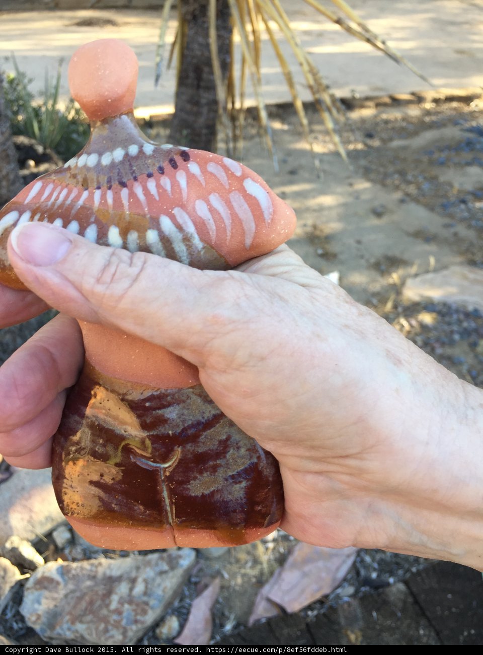 A Seashell's Palm
