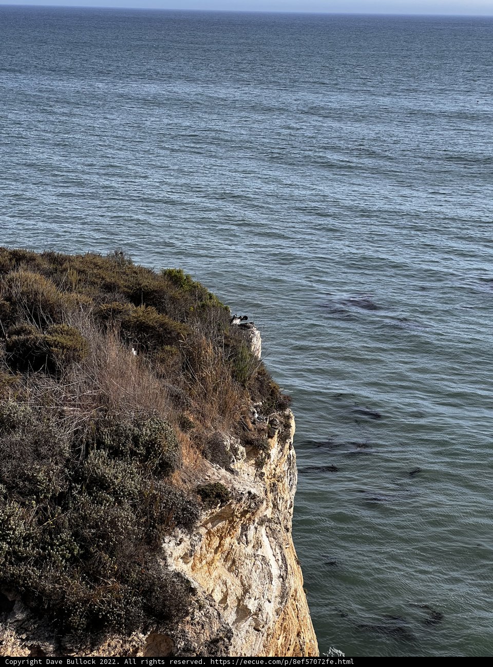 Cliffside Perch