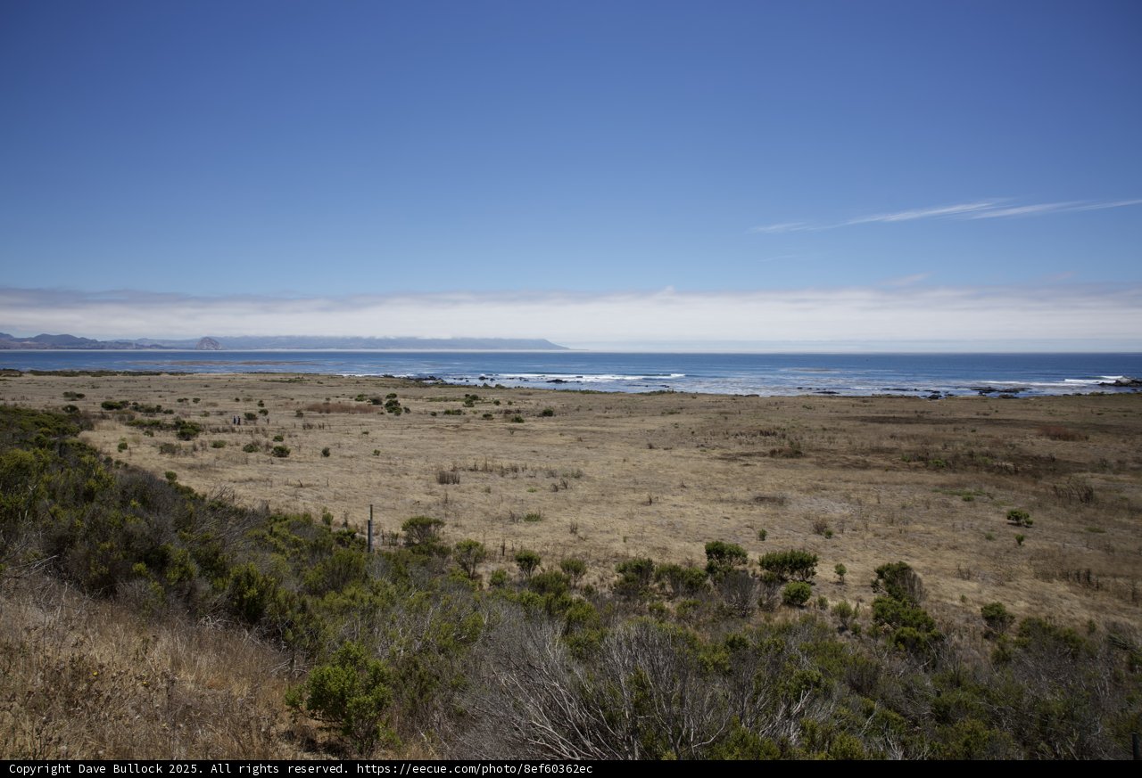 Embracing the Coastal Wilderness