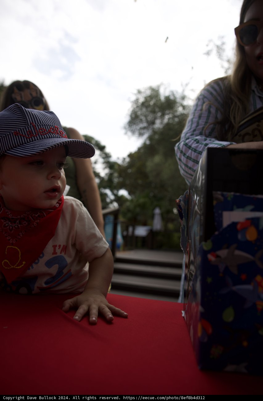 Wesley's Second Birthday Adventure