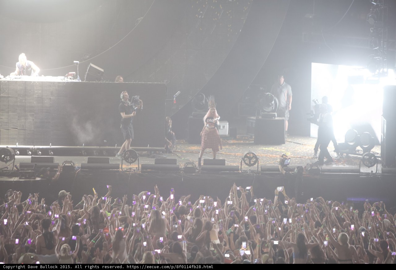 Rockin' with the Crowd at Coachella