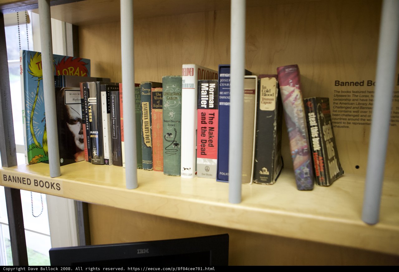 A Wooden Bookshelf in San Francisco