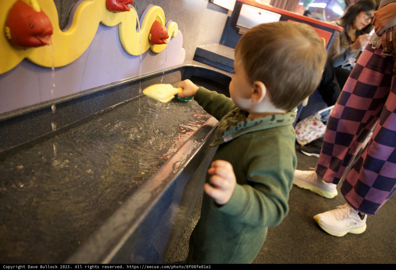 Water Play: A Day at the Aquarium