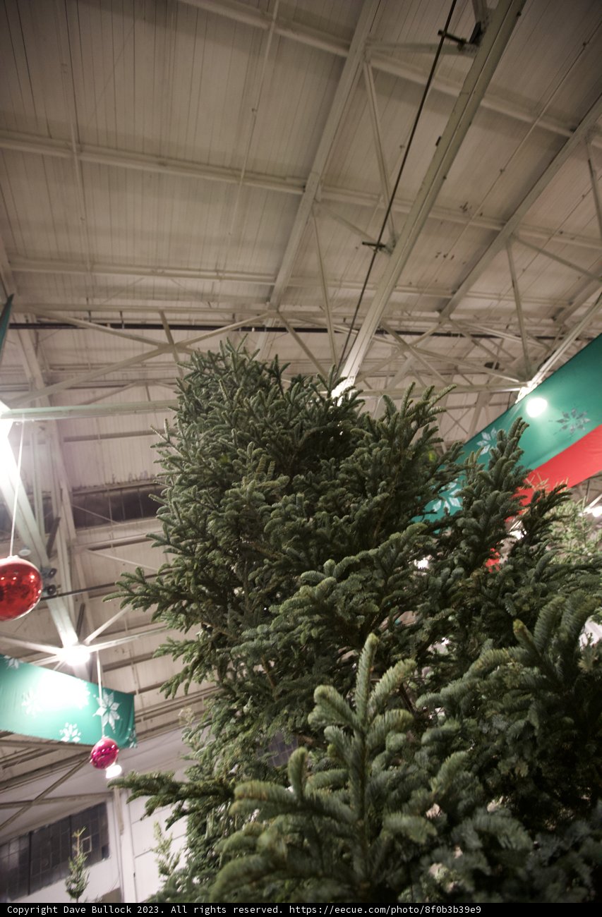 Industrial Festive Greetings in Fort Mason 2023