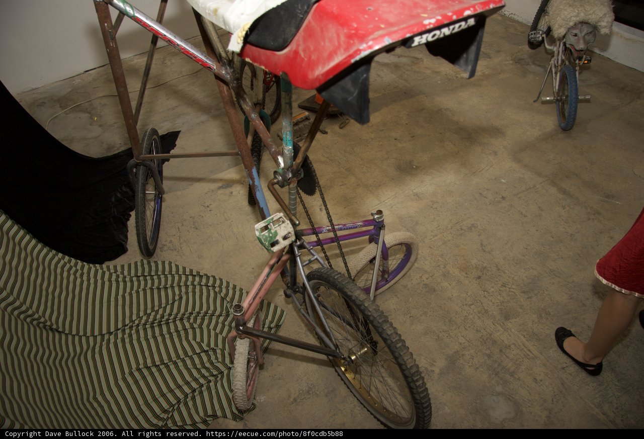 Riding in Style: A Dog and His Bicycle