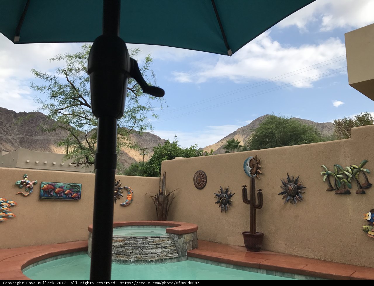 Mountain View Oasis