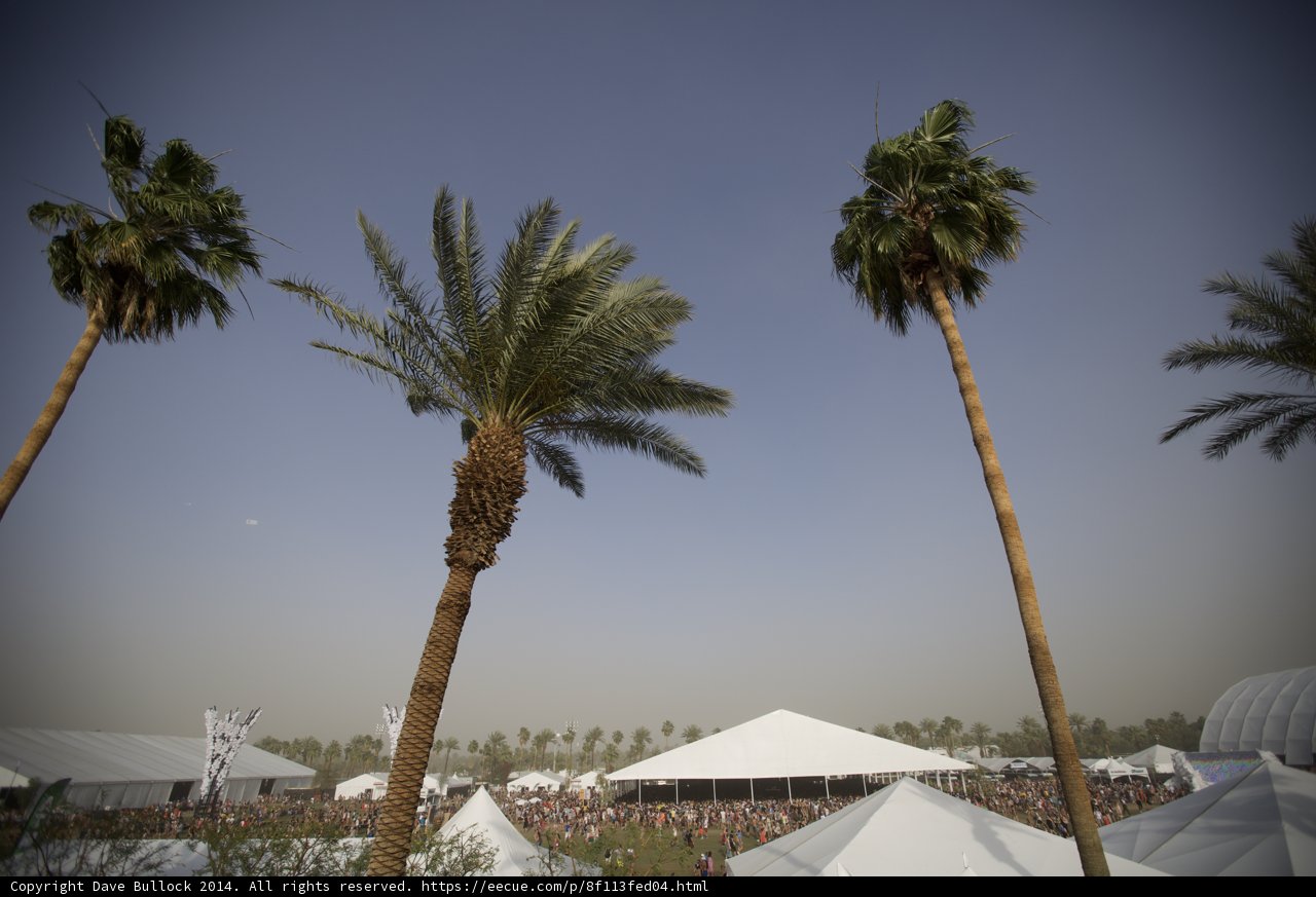 Palm Trees and Tents at Coachella