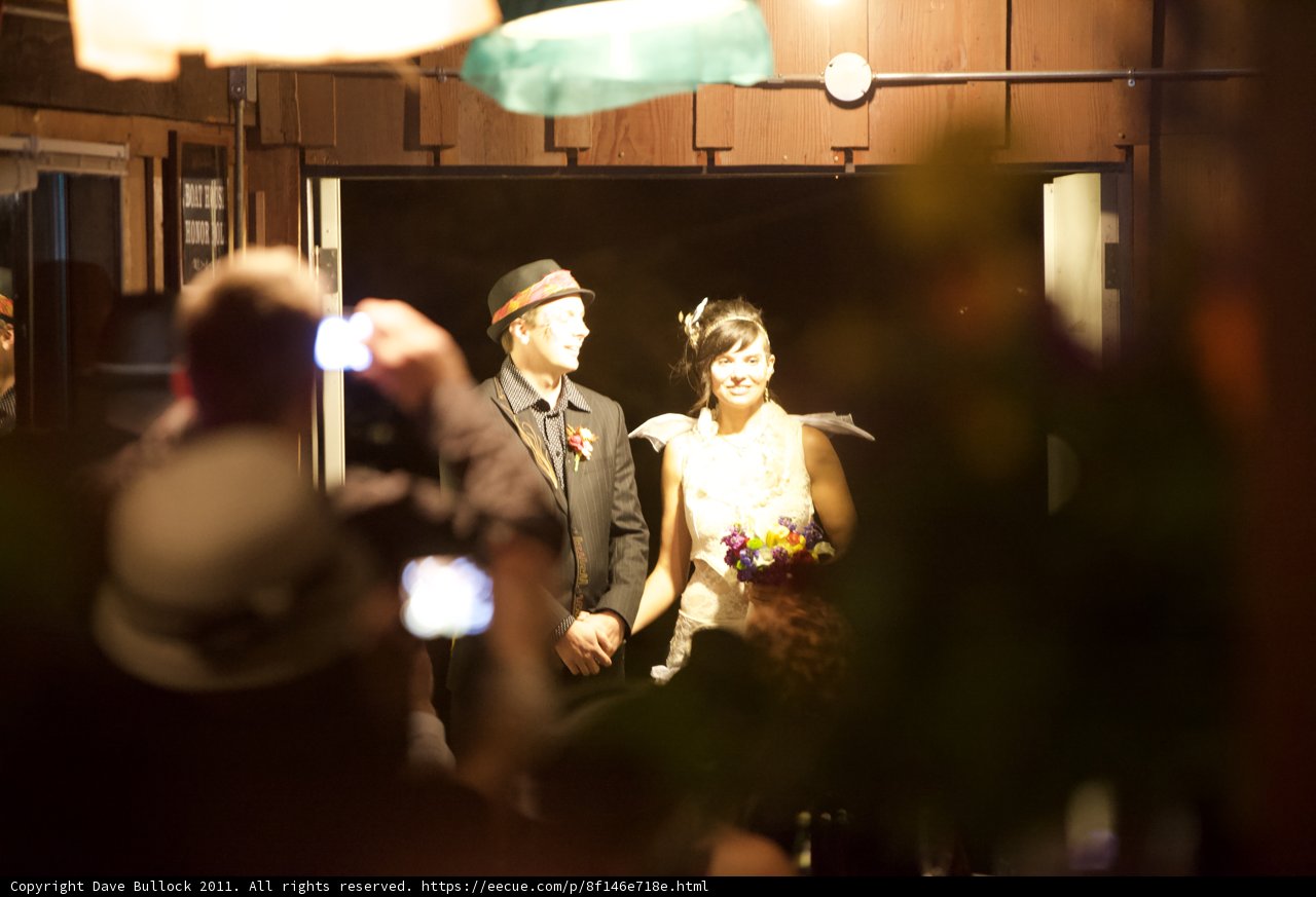 The Wickstrom Wedding Party