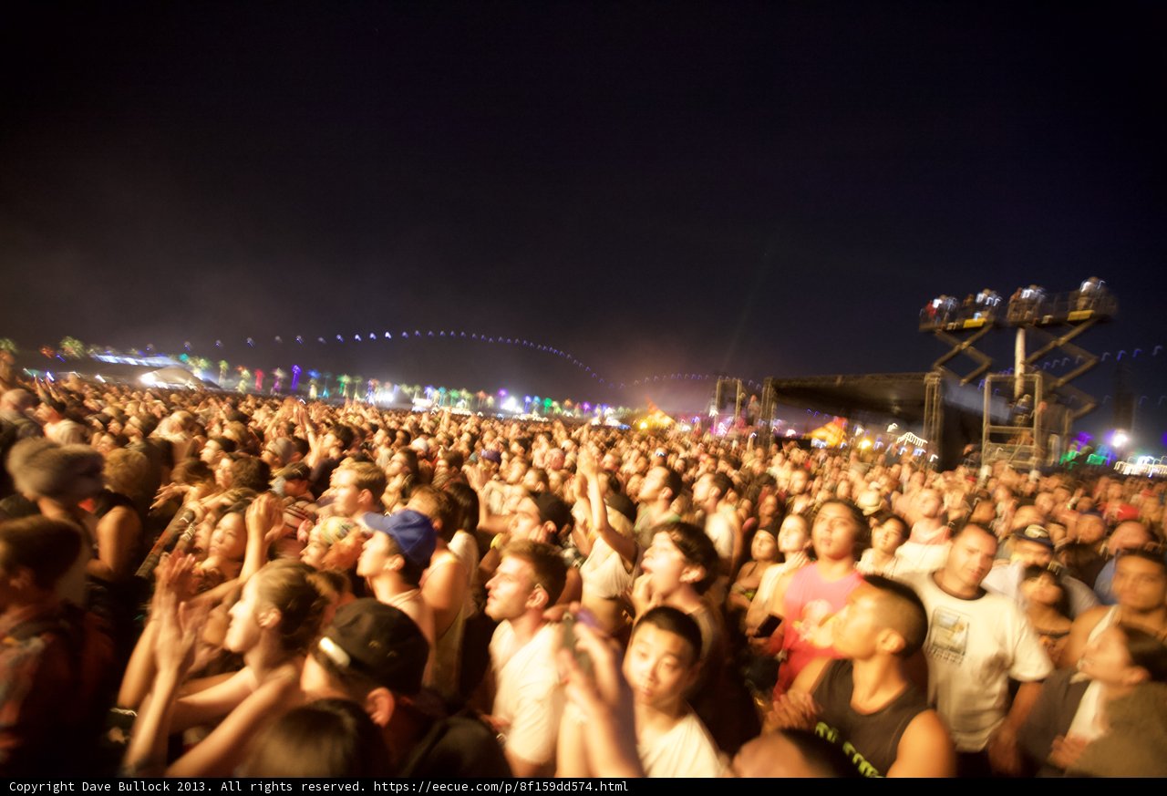 Coachella Nights