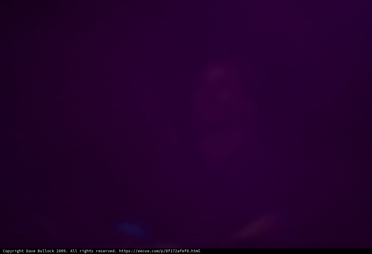 Purple Haze Concert