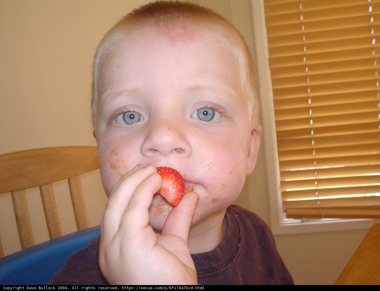 Sweet Strawberry Snack