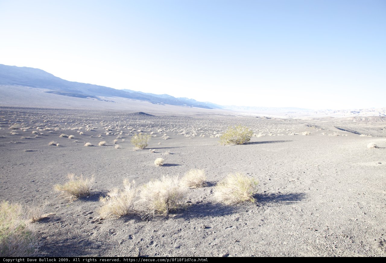 Serene Desert Landscape