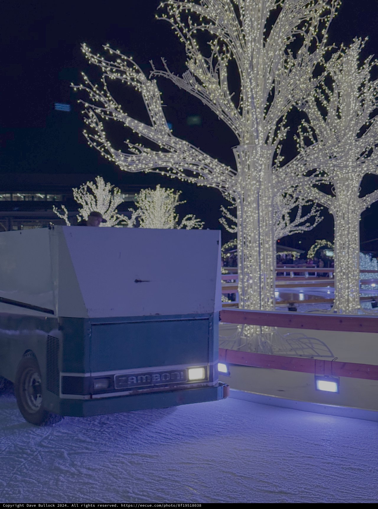 Food Truck Under Illuminated Holiday Trees
