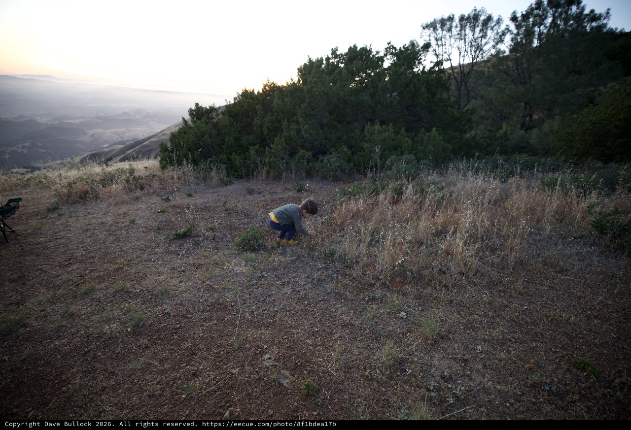 Child Explores Hillside at Dusk on Mount Diablo