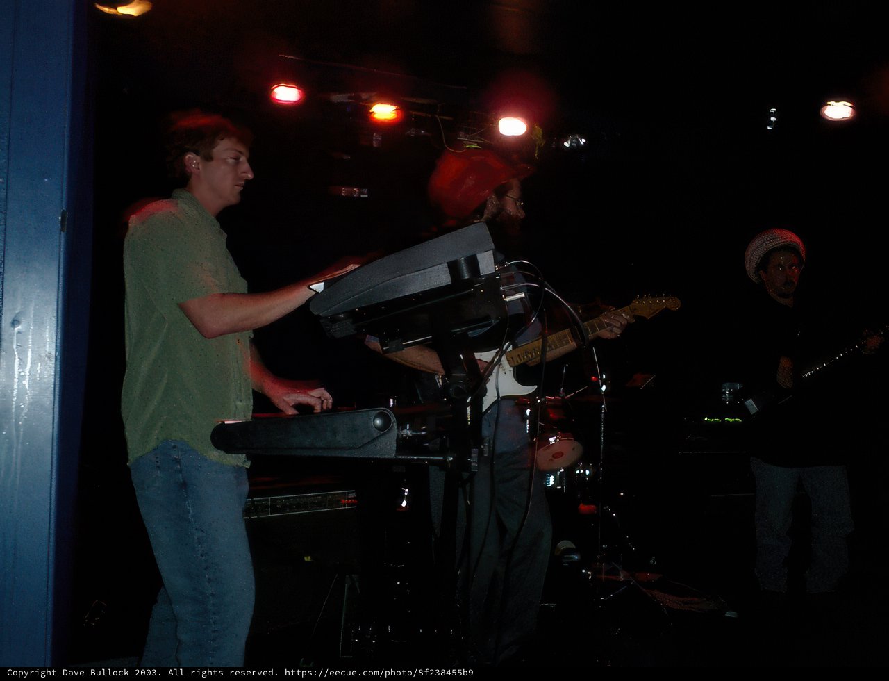 Keyboard Performance at DubClub Tippa Irie Concert