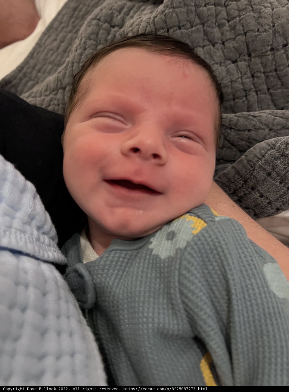 Pure Joy