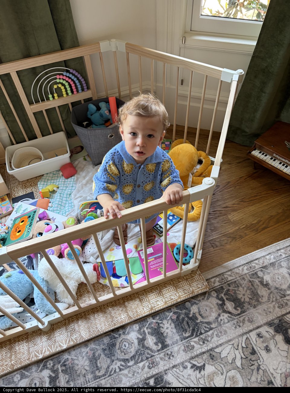Little Explorer's Playtime