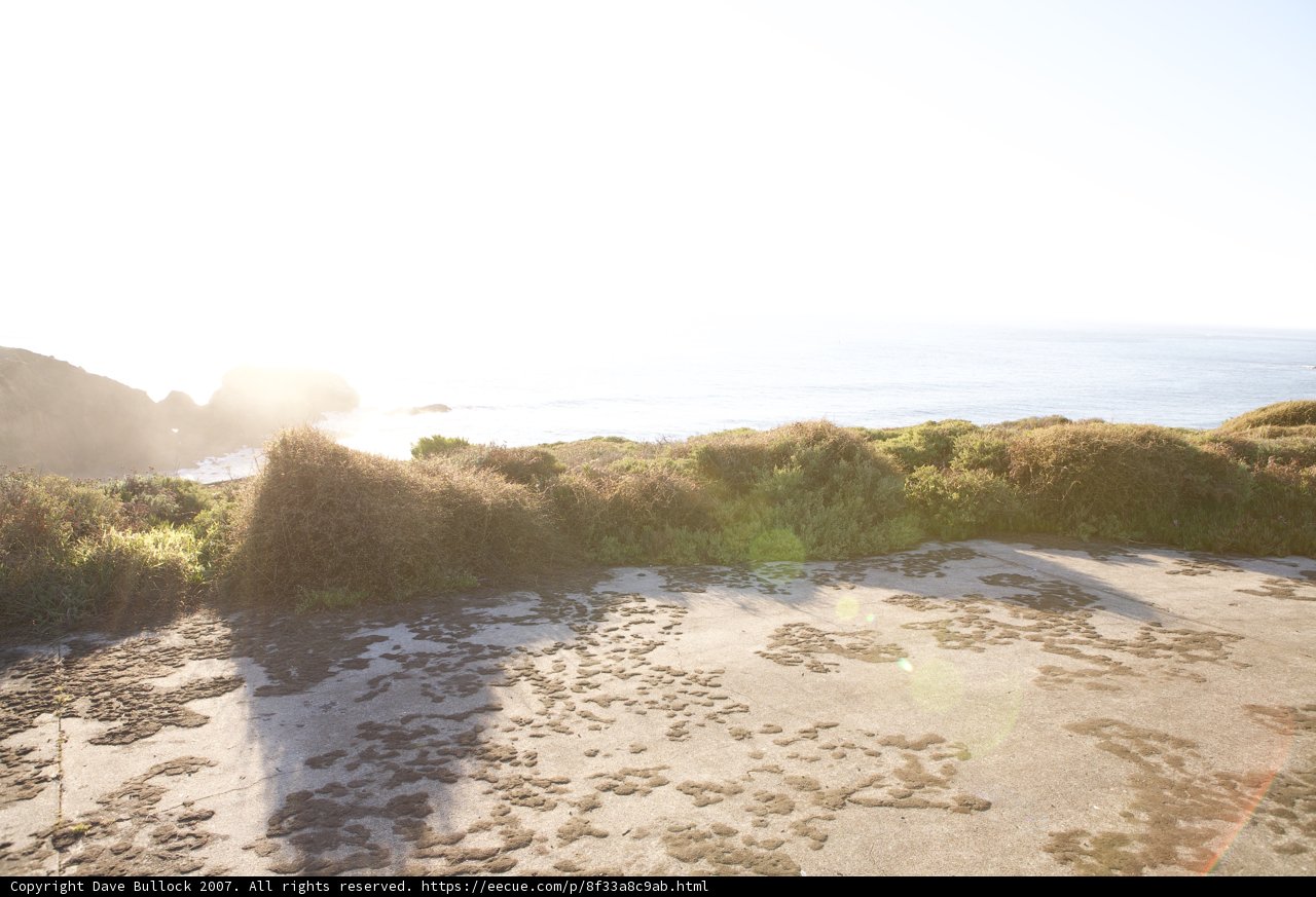 Serene view of the ocean from a hilltop