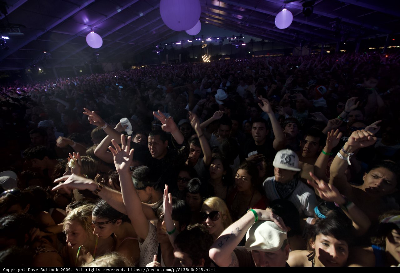 Electric Nights: The Joy of Music & Dance