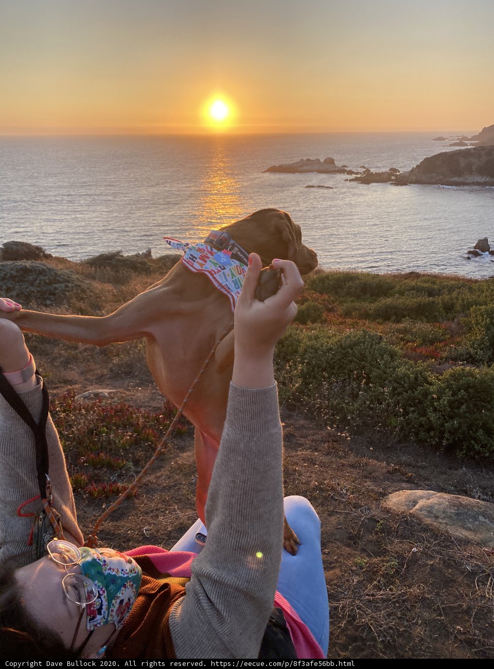 Sunset Cuddles