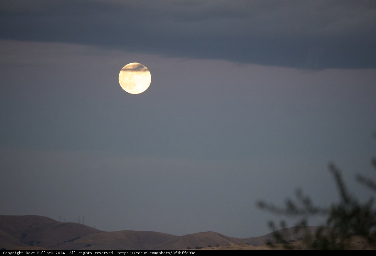Lunar Elegance Over Walnut Creek