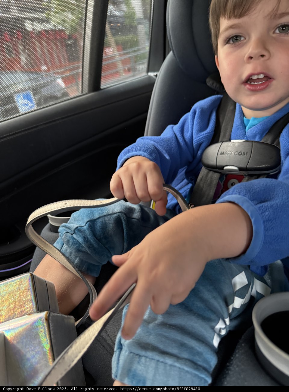 Little Explorer in the City