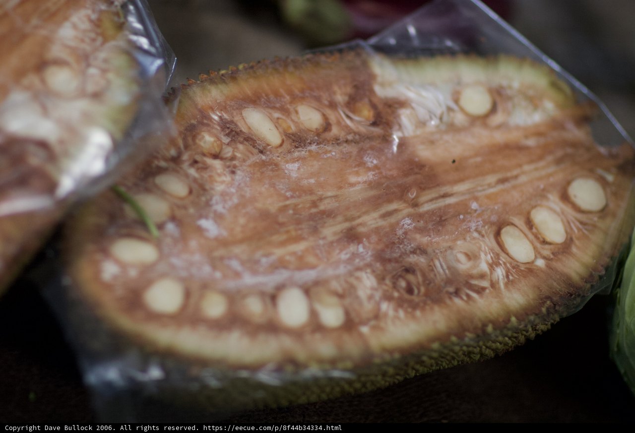 Biting into the exotic Jackfruit