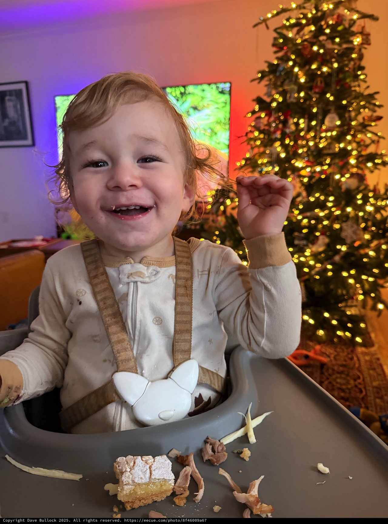 Joyful Toddler's Christmas Dinner Celebration at Home