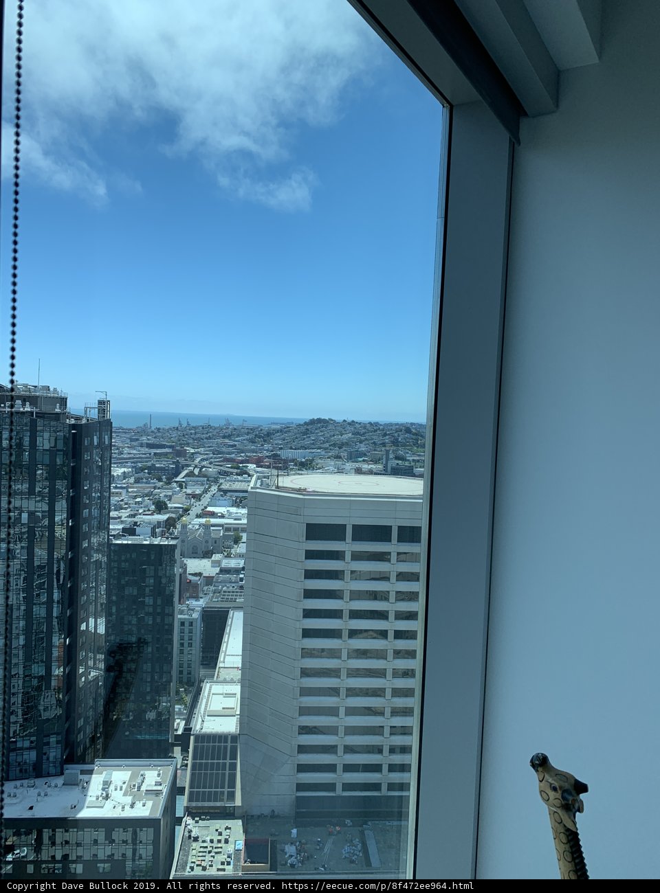 Giraffe in the City