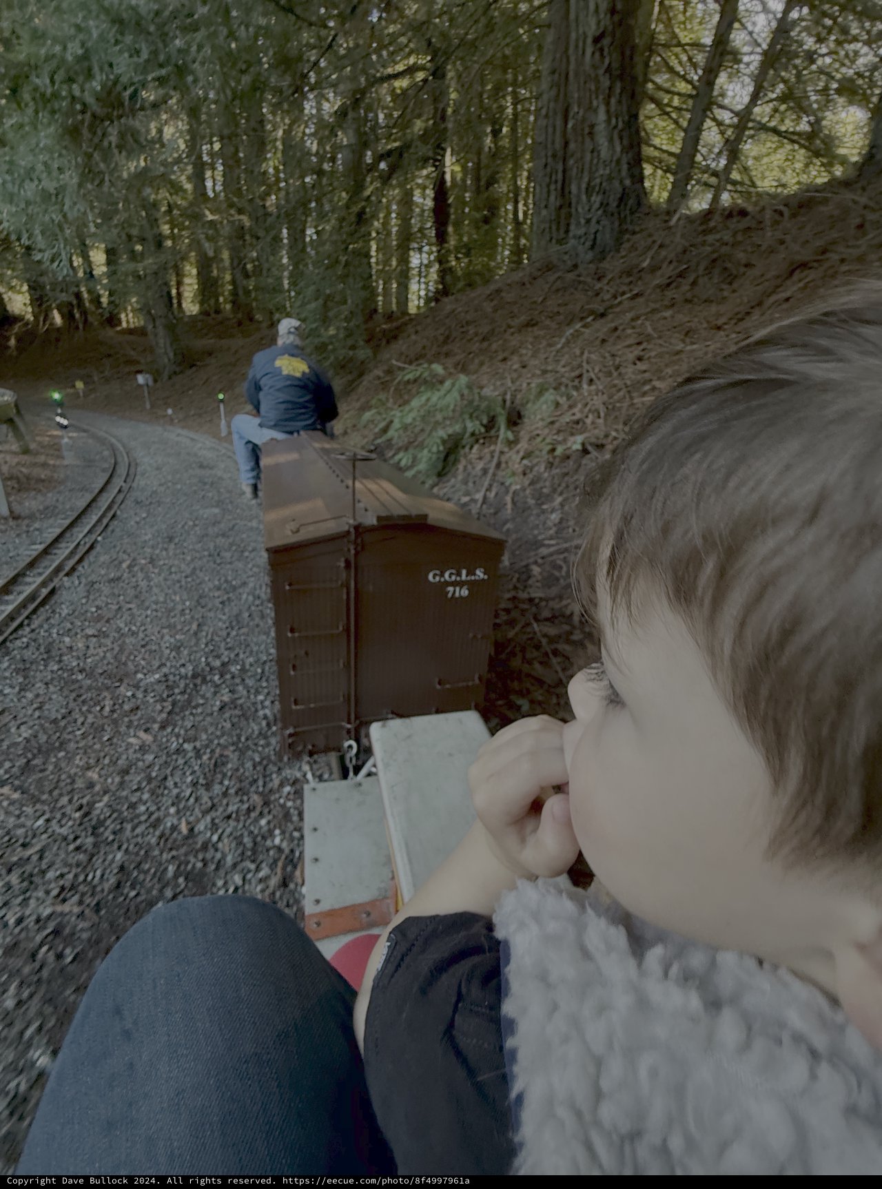 Child Enjoys Miniature Railway Adventure Through Forest