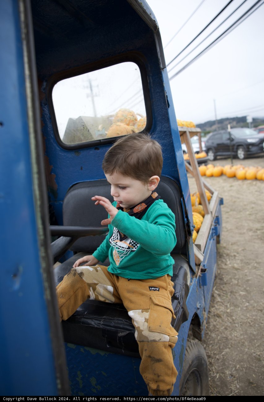 Pumpkin Patch Adventures
