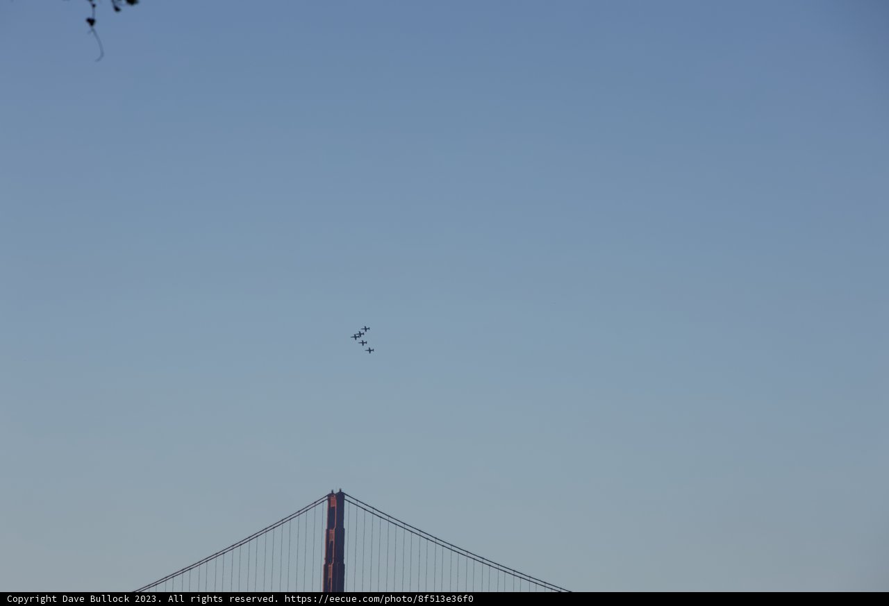 Majestic Flight over Golden Gate