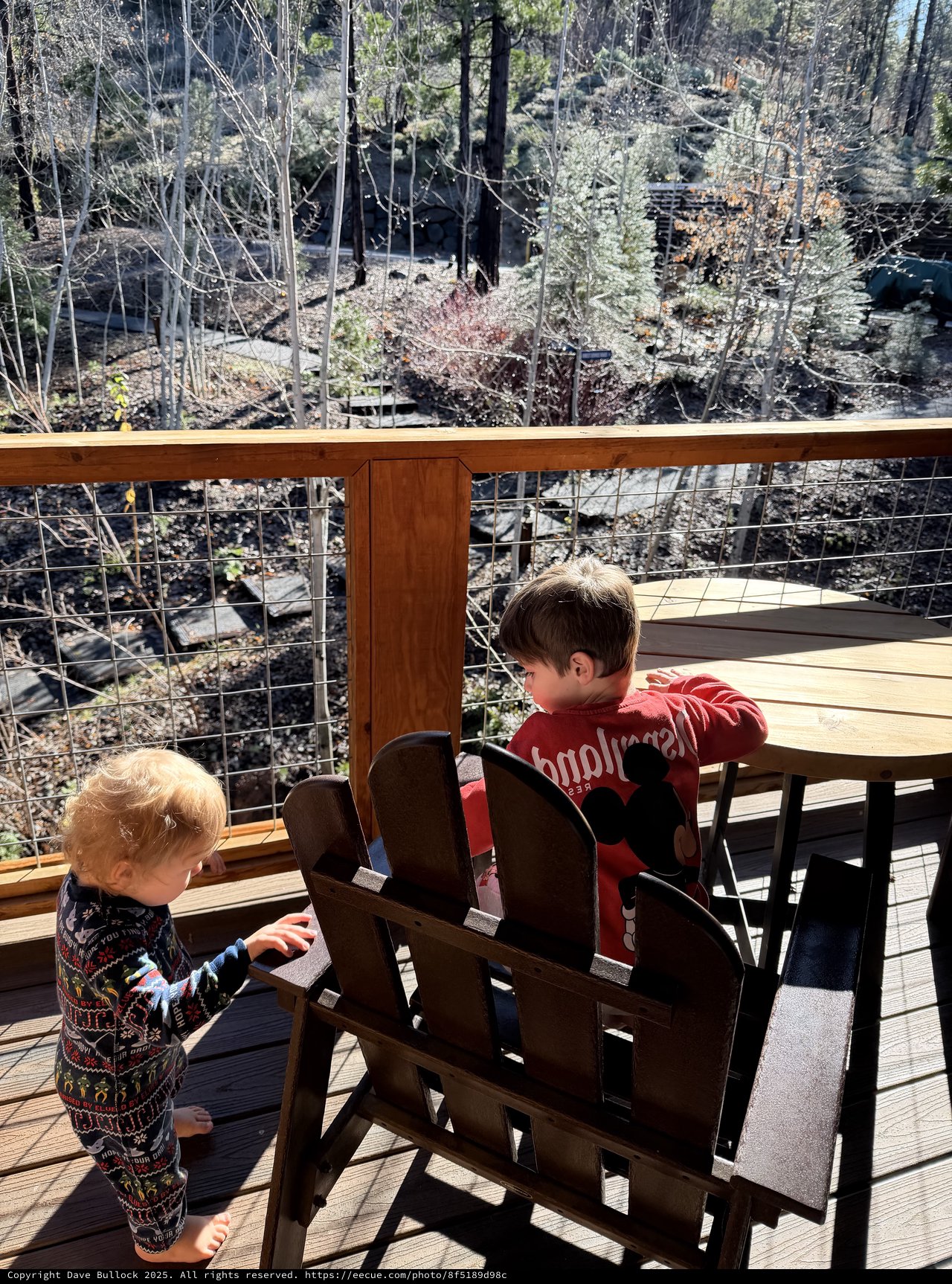 Two Young Brothers Exploring a Forest Cabin Deck