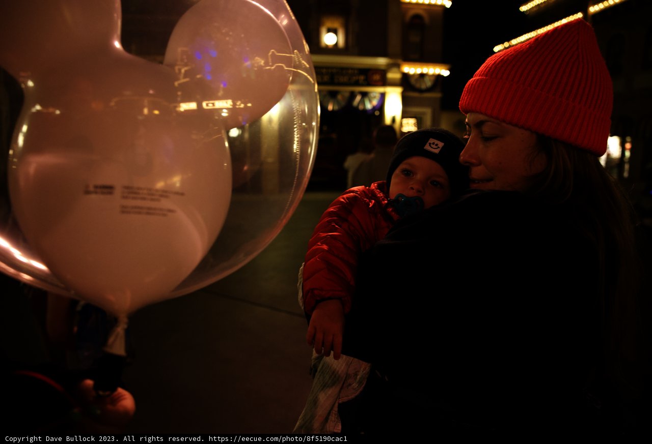 Magical Moments at Disneyland