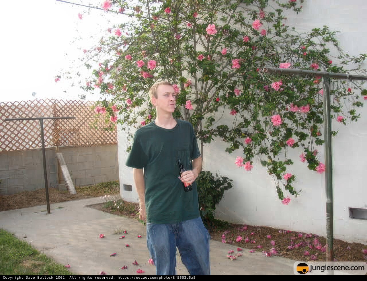 The Man and the Pink Tree