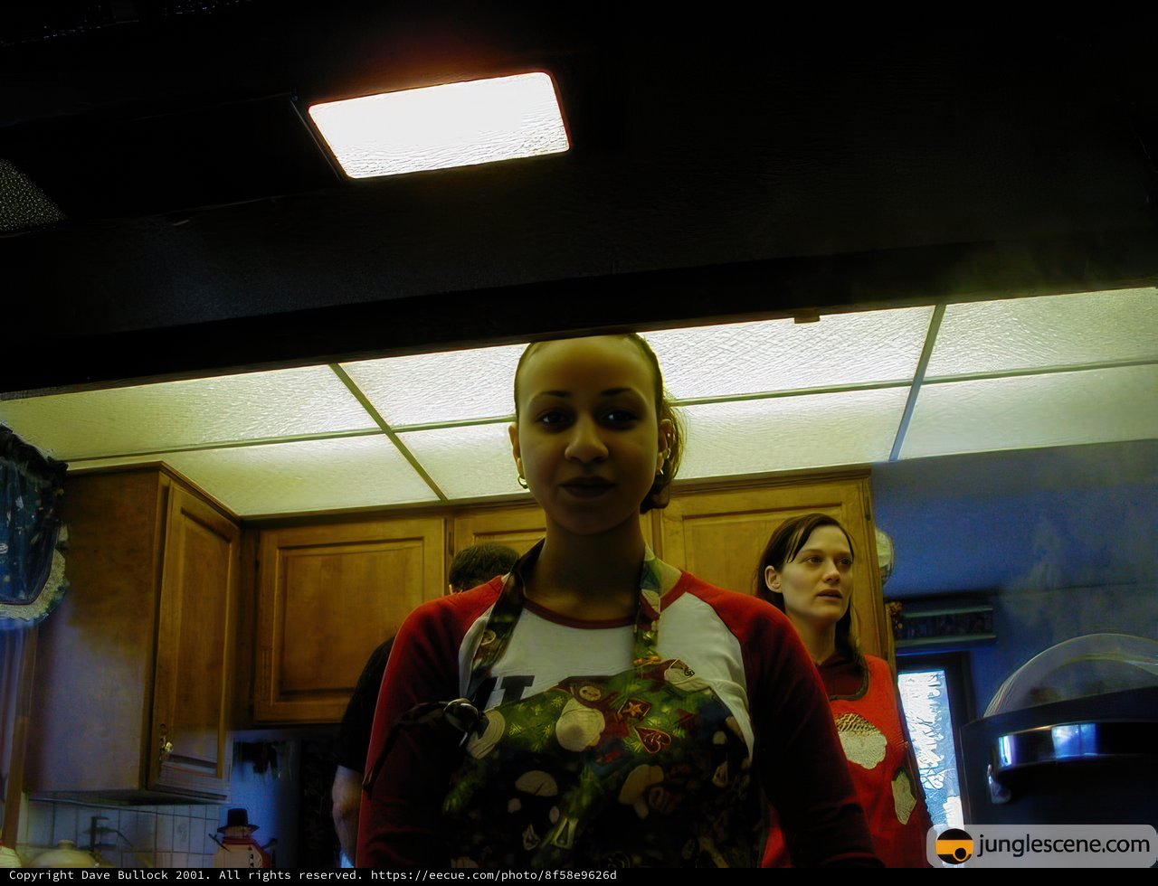 Christmas Preparations in the Kitchen