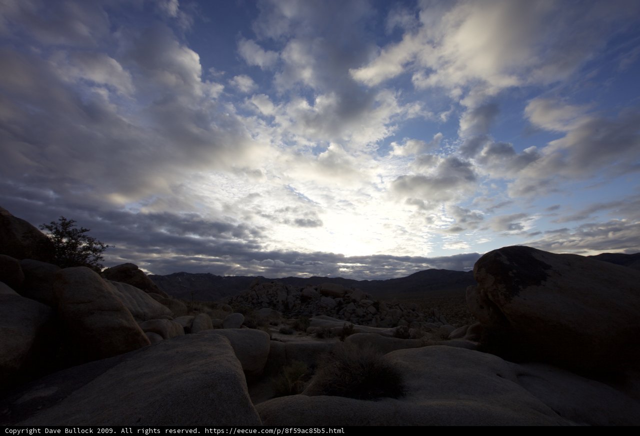 Skies Above the Joshua Tree Plateau