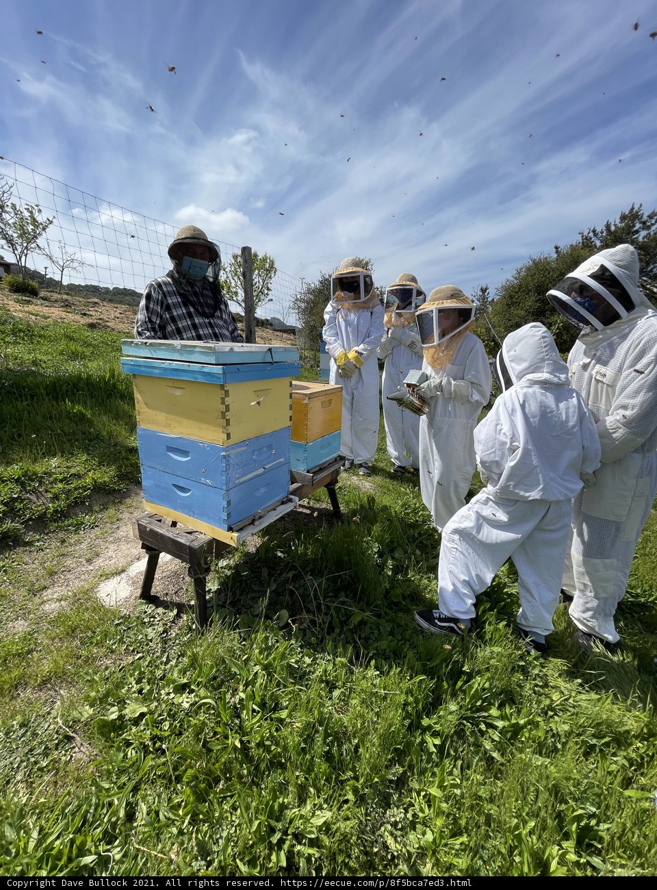 Beekeepers in Protective Suits at the Carmel Apiary