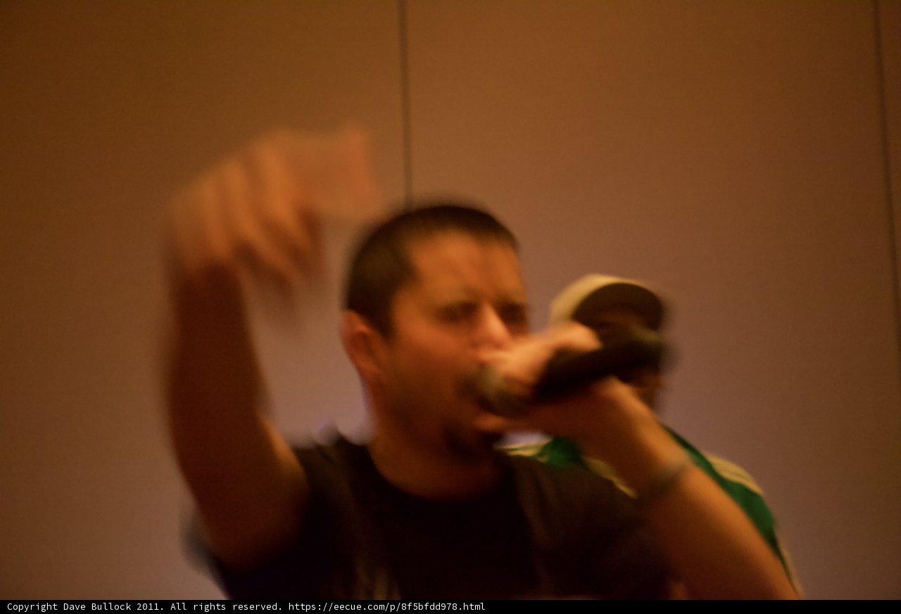 The Performer's Voice