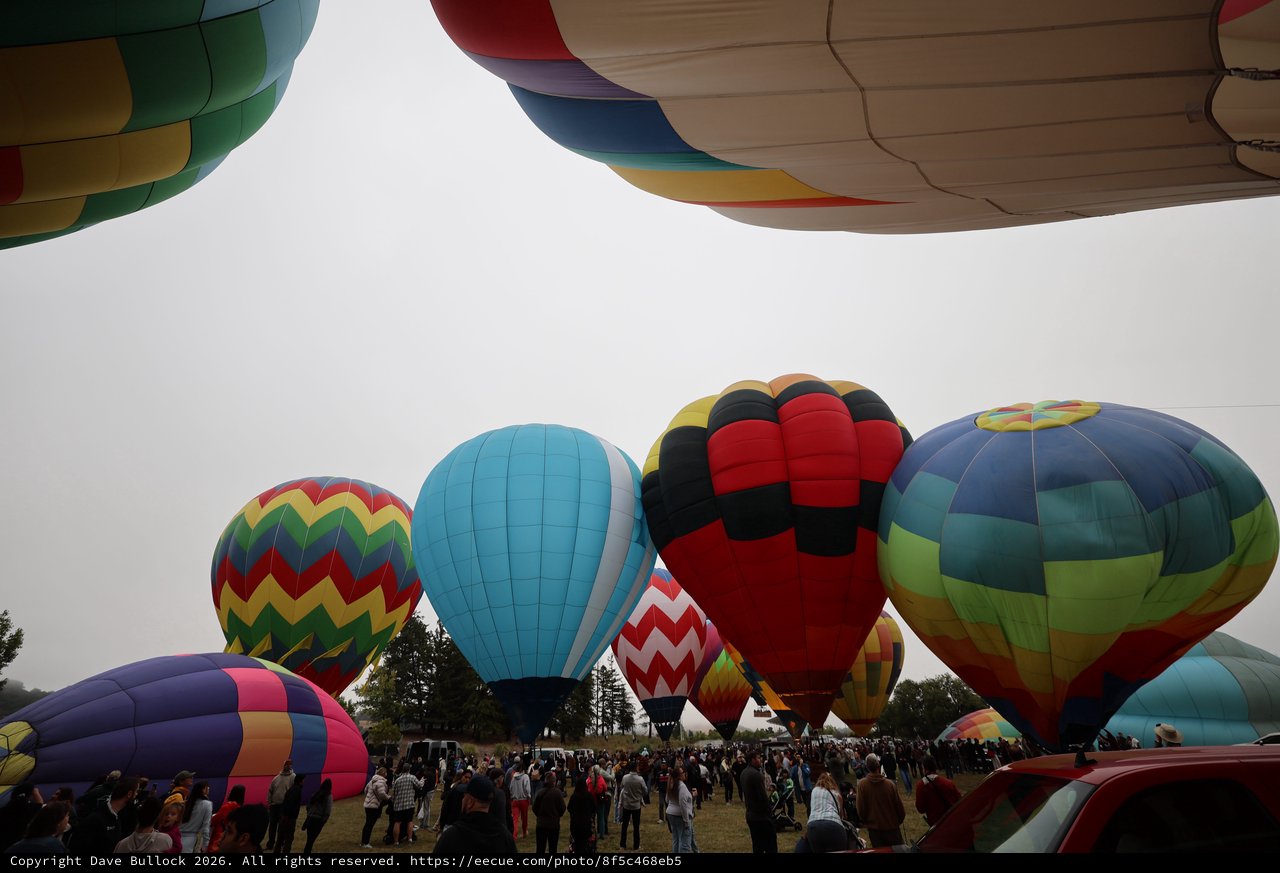 Colorful Hot Air Balloons Fill the Overcast Sky