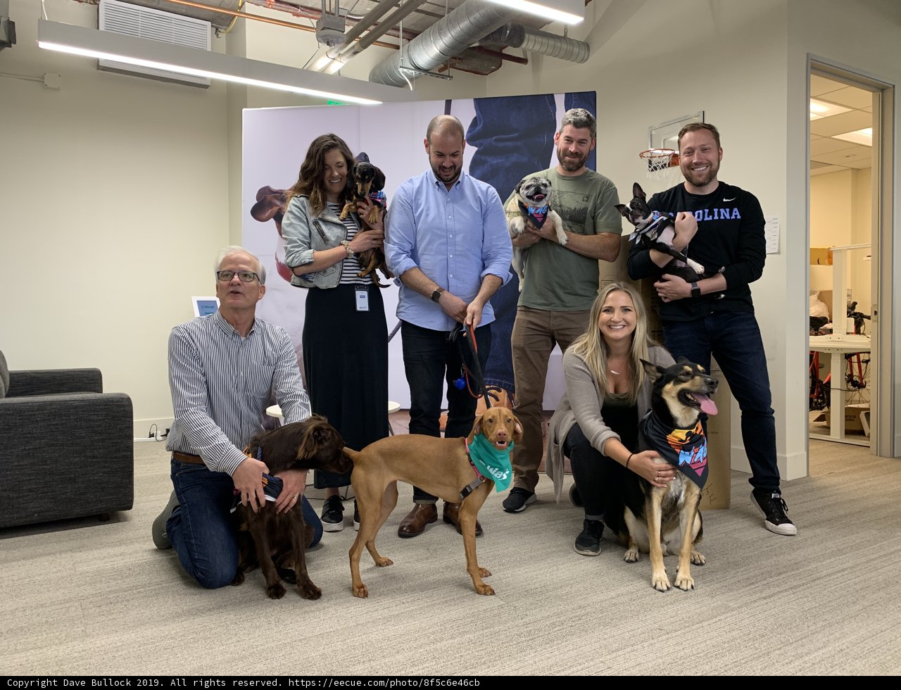 Posing with Our Four-Legged Friends