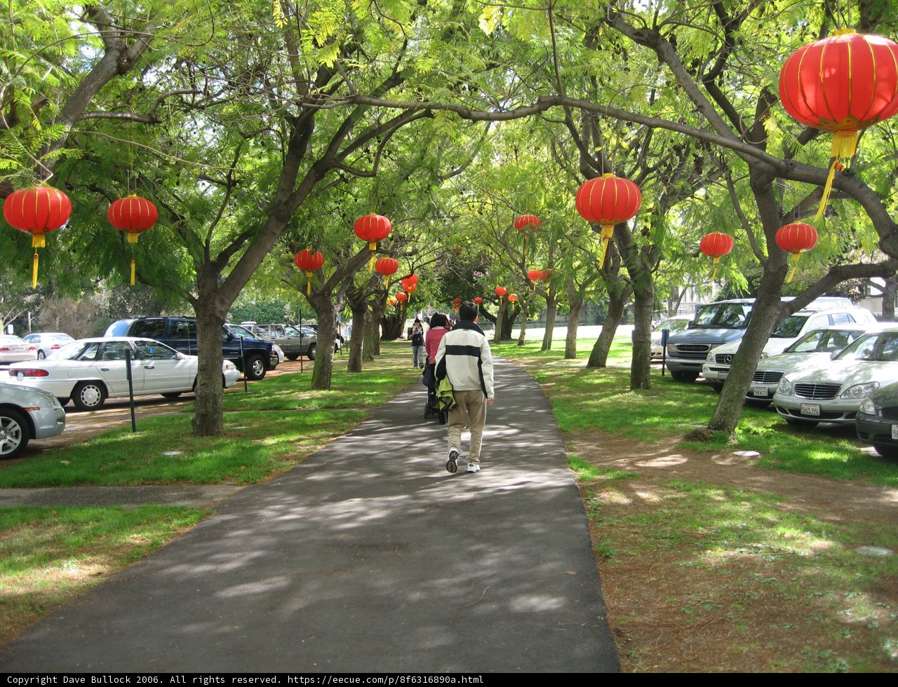 The Serene Path