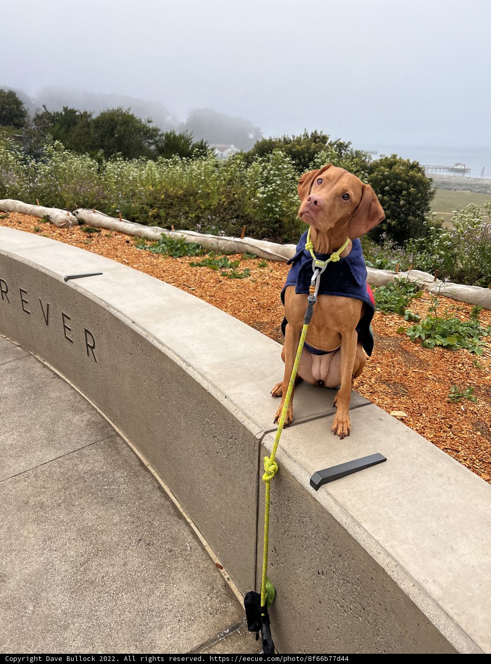 Walk in the Park