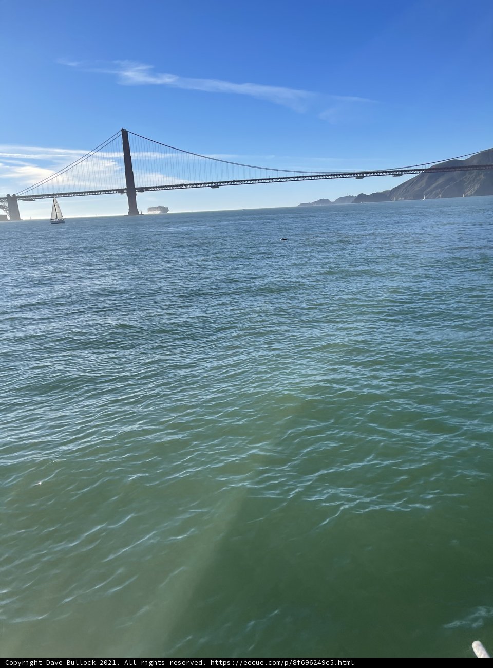 Sailing Under the Golden Gate