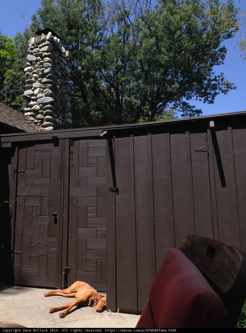 Relaxing in the Backyard