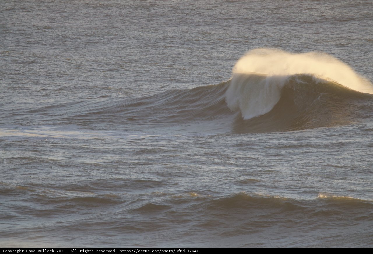 Conquering the Mighty Pacific Wave - Big Surf Day 2023