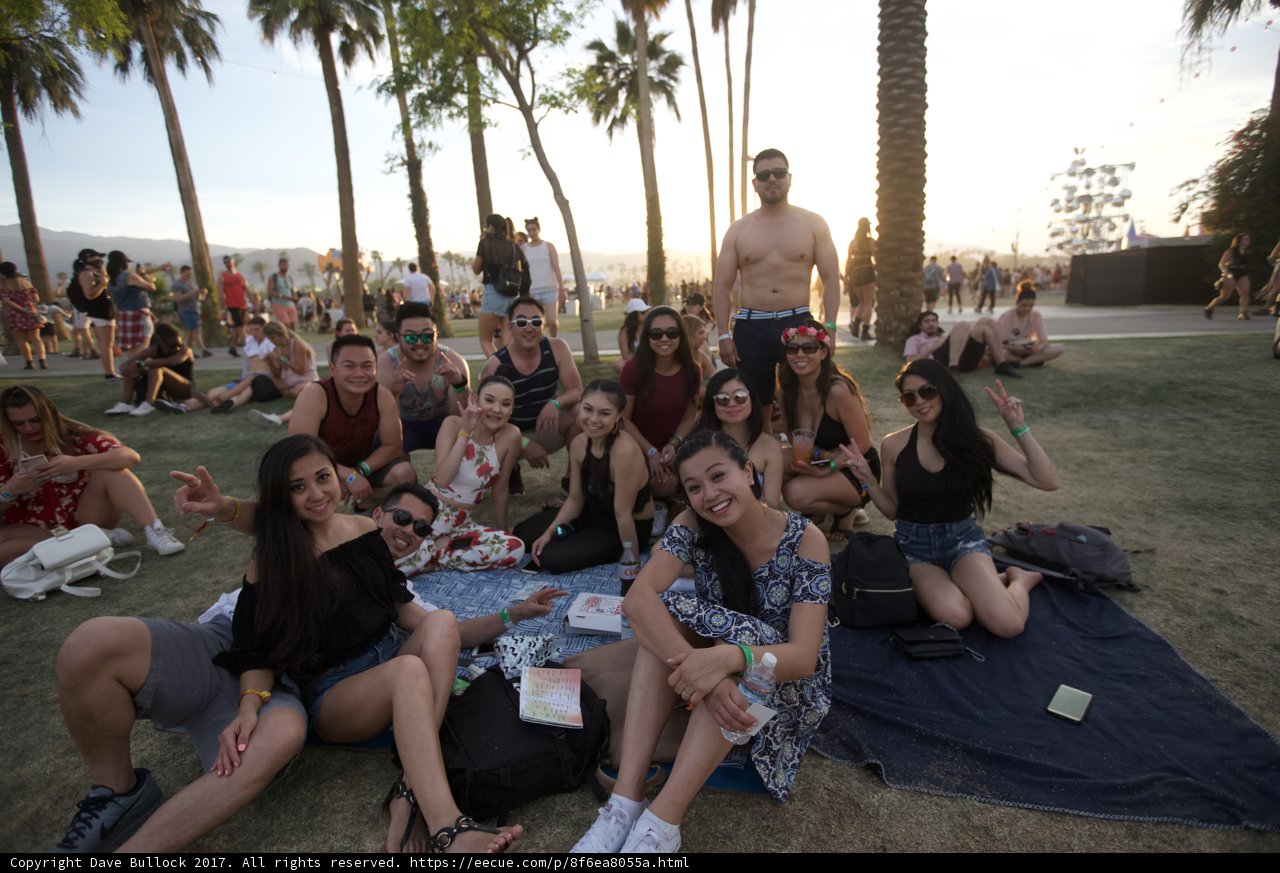 Festival Fun in the Sun