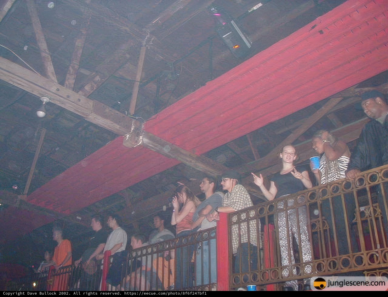 Crowd at Nightclub Balcony