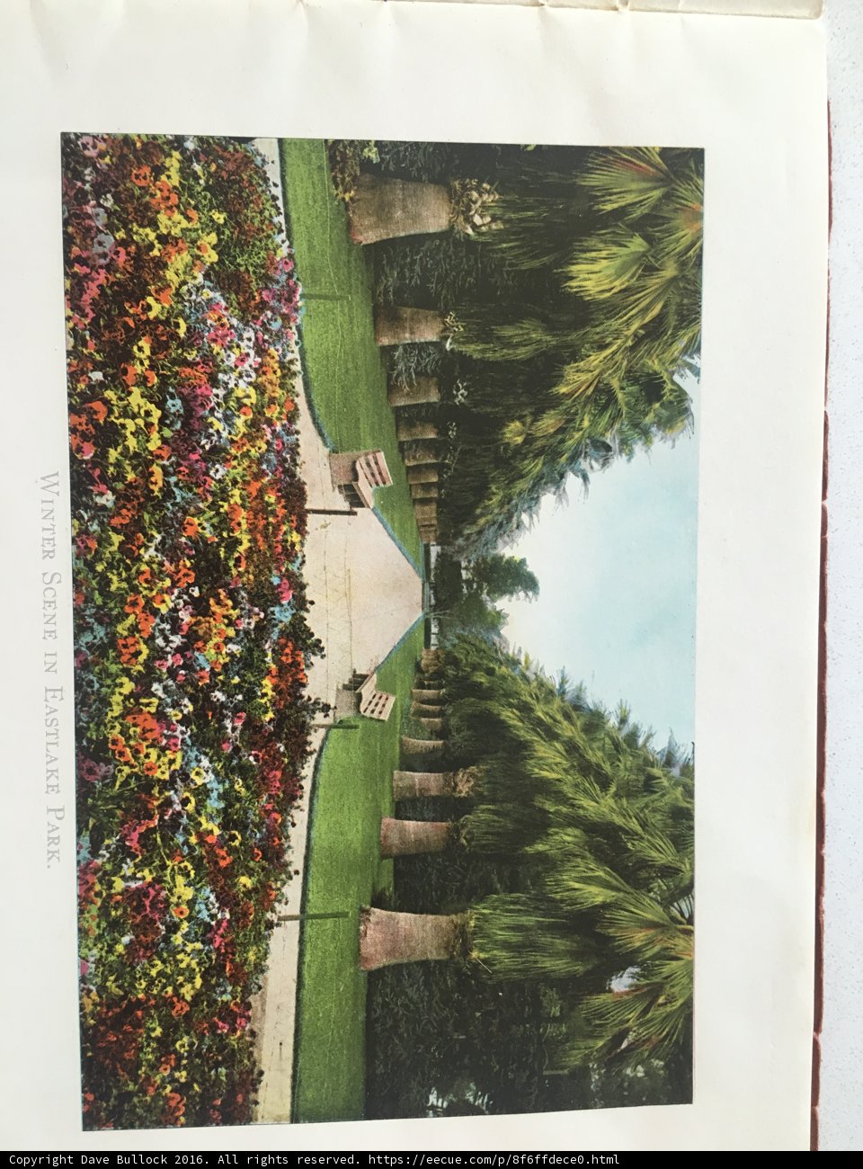 The Garden Oasis
