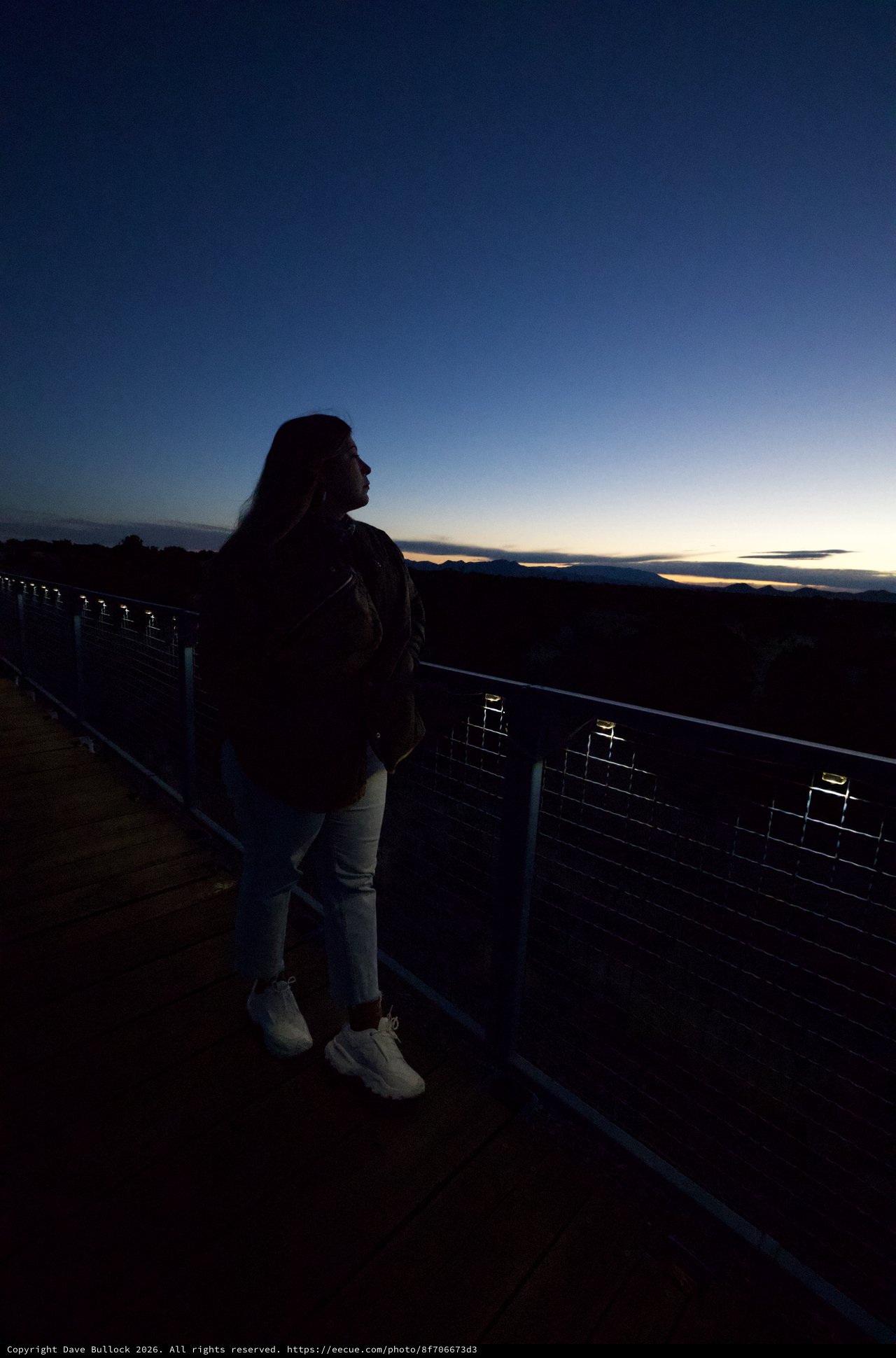 Silhouette at Twilight: Contemplative Moment at Overlook